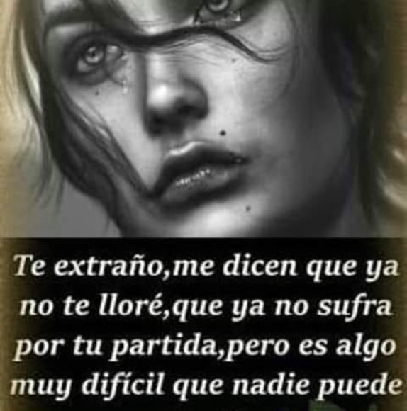 Meet your Posher, Mariposa de - Picture 1 of 1